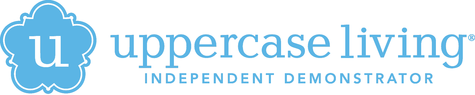 Horizontal Logo - Light Blue 2915